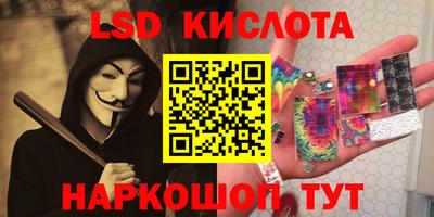 дмт Гай