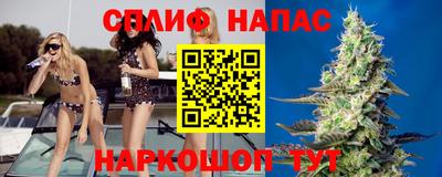 дмт Гай