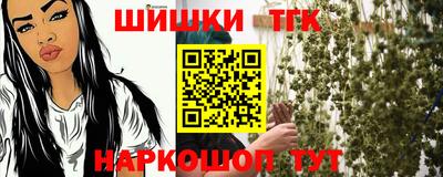 spice Гатчина