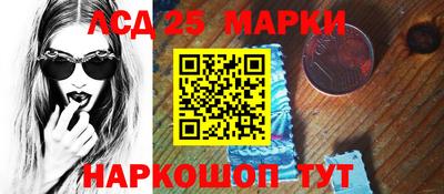 spice Гатчина