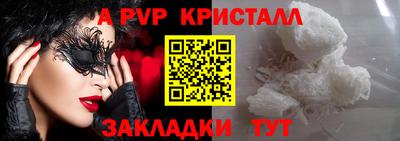 spice Гатчина